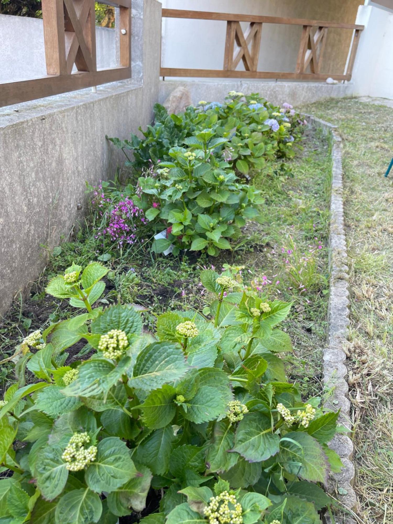 Appartement Et Quiberon